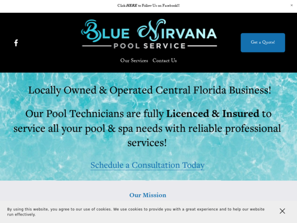 Blue Nirvana Pool Service