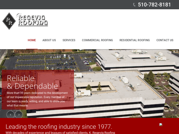 Regevig Roofing