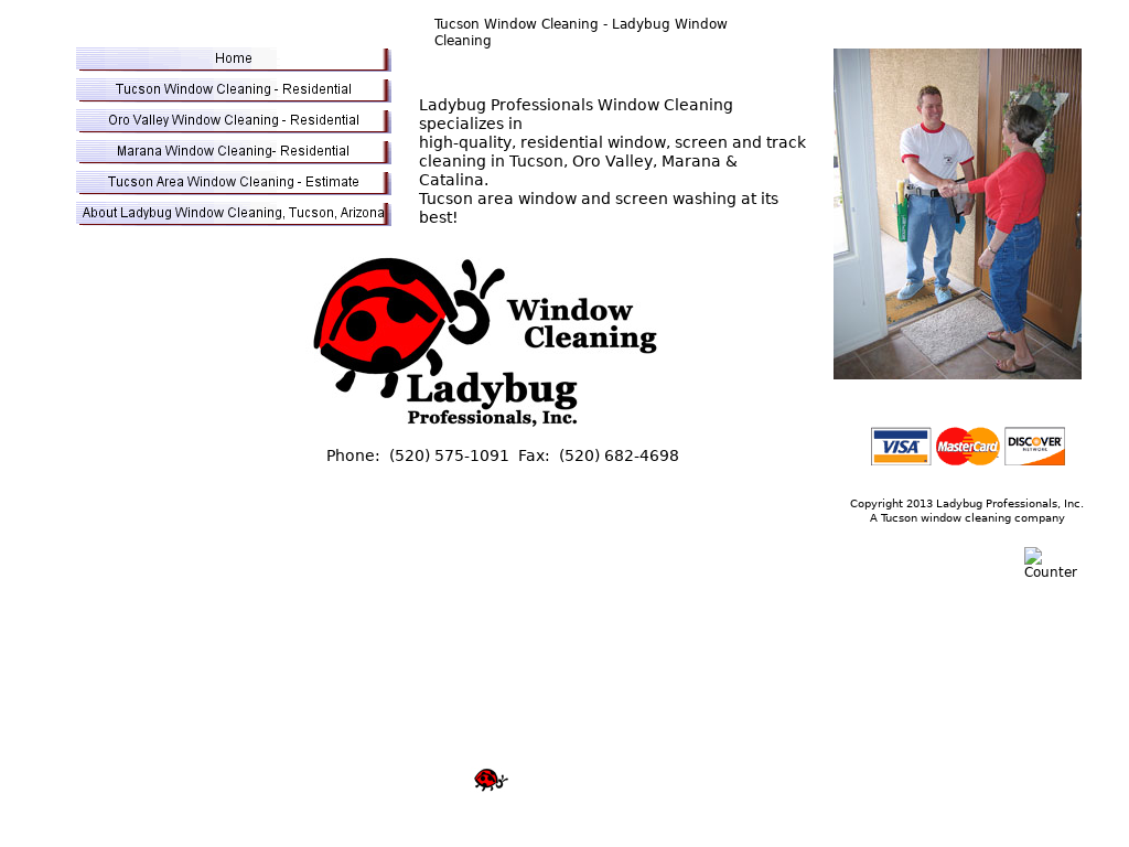 Ladybug Window Cleaning