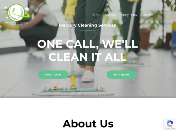 Mercury Cleaning