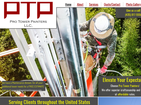 Pro Tower Painters