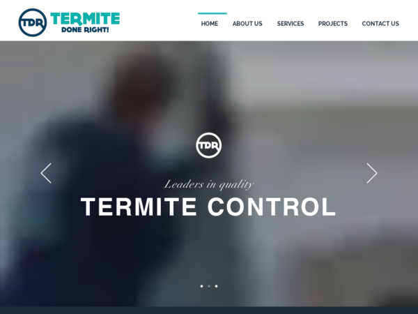 Termite Done Right
