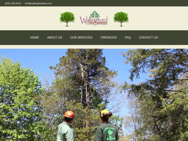 Wallingford Tree Services Wallingford