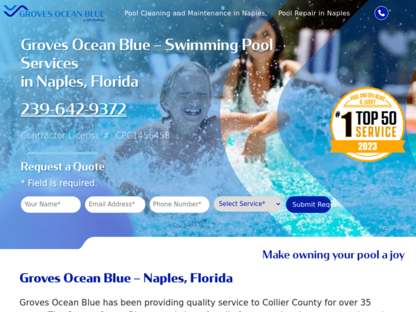 Louies Pool Services & Repair