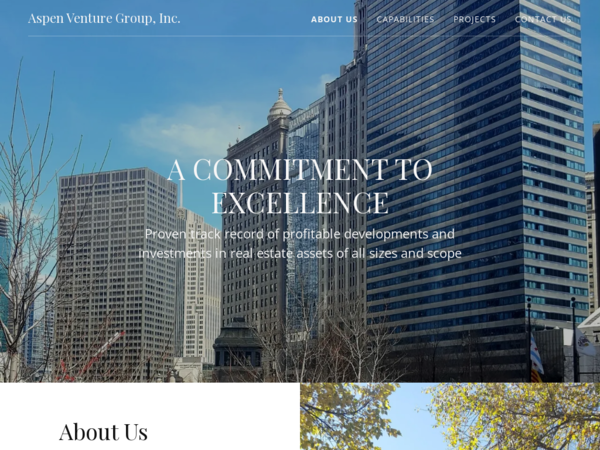 Aspen Venture Group
