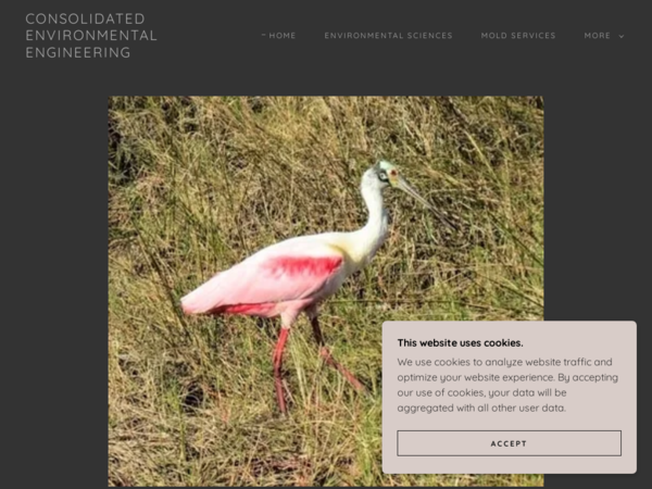 Consolidated Environmental