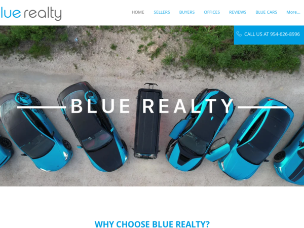 Blue Realty Team