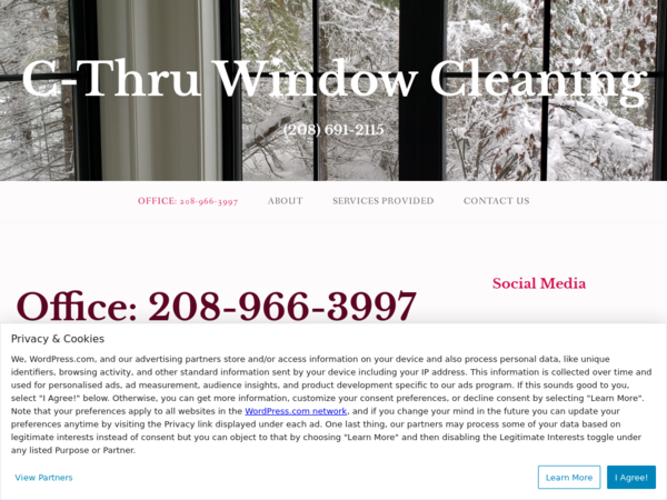 C-Thru Window Cleaning