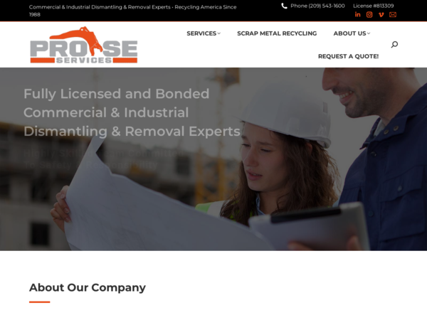 Pro SE Services