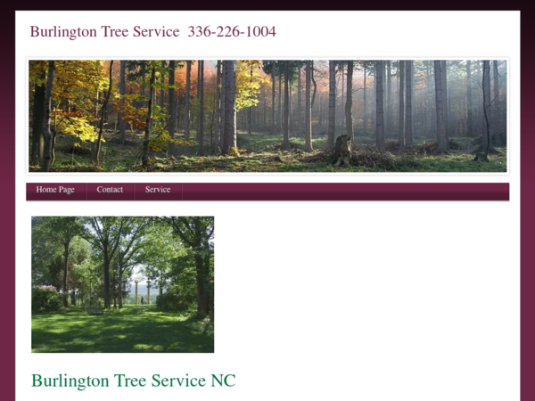 Burlington Tree Service