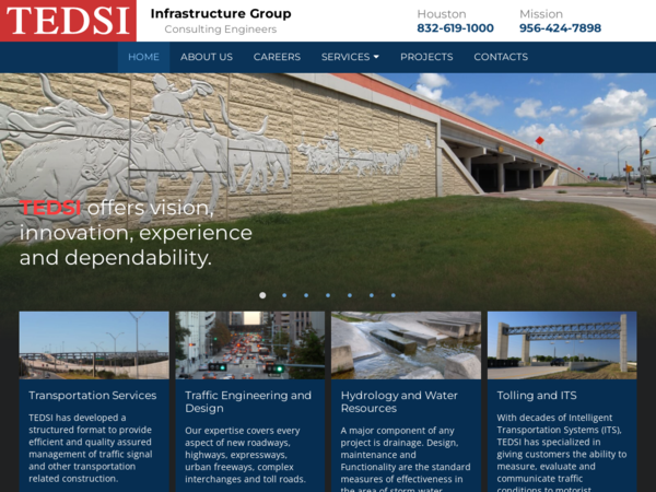 Tedsi Infrastructure Group