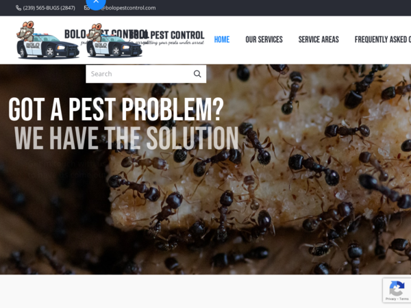 Bolo Pest Control