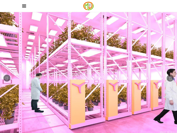 MJ12 Design Studio