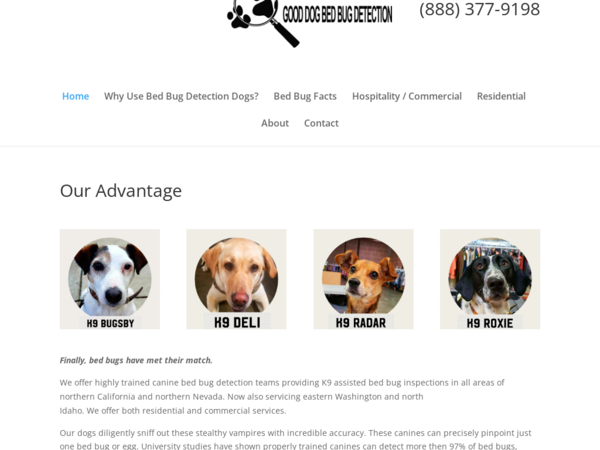 Good Dog Bed Bug Detection