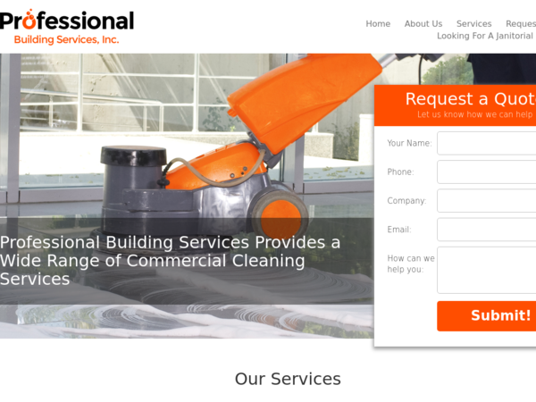 Professional Building Services