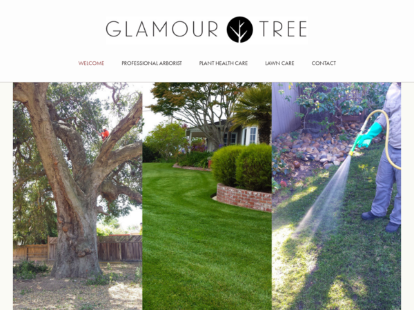 Glamour Tree Inc