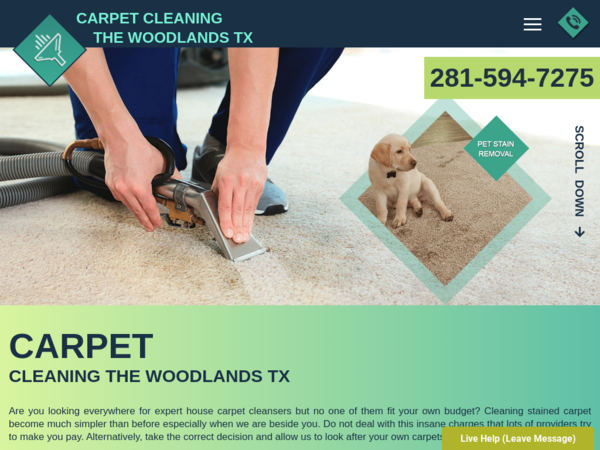 Carpet Cleaning THE Woodlands TX