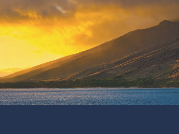 South Pacific Plumbing LLC
