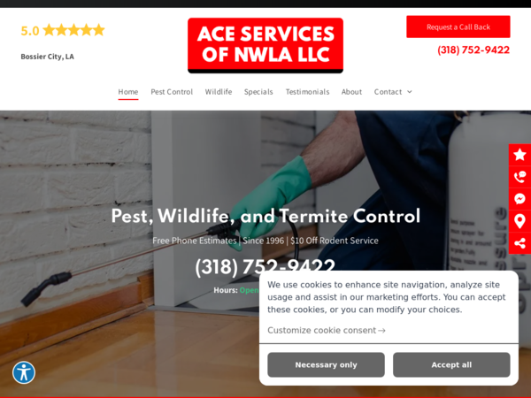 ACE Services