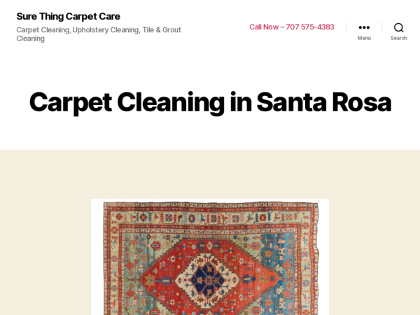 Sure Thing Carpet Care