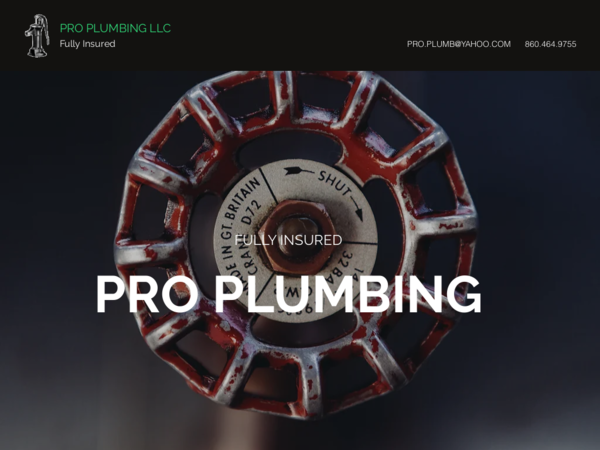 Pro Plumbing