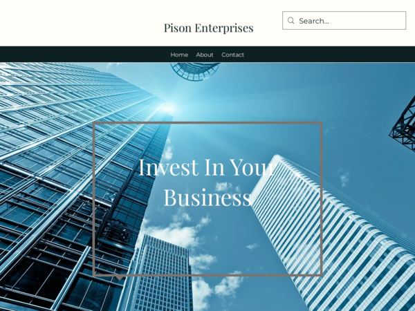 Pison Enterprises LLC
