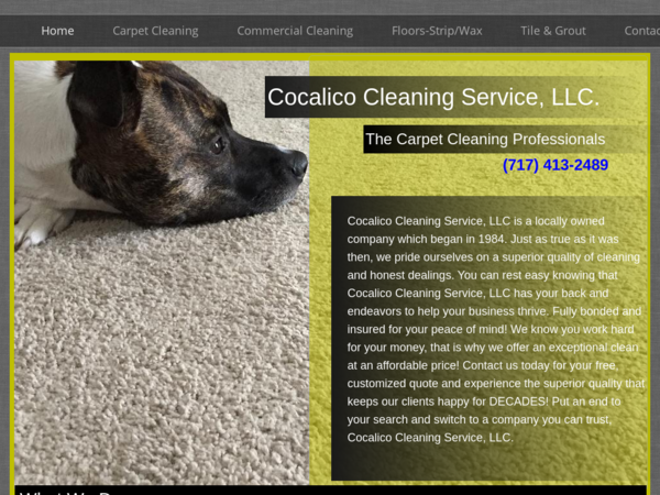 Cocalico Cleaning