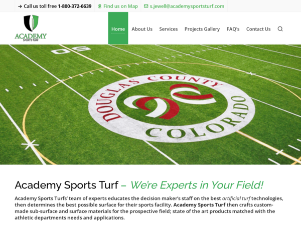 Academy Sports Turf