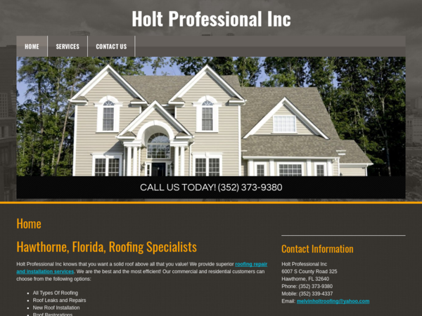 Holt Professional Inc