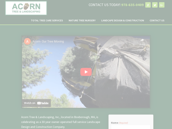 Acorn Tree & Landscaping Inc.