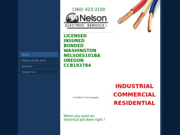 Nelson Electric Services